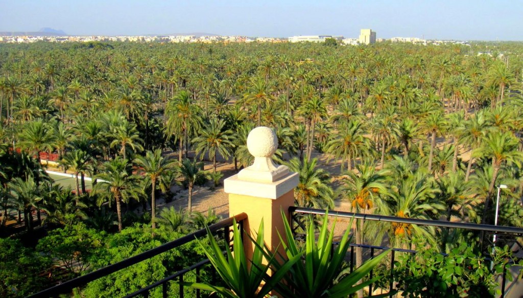 Palmeral-de-Elche-1024x583