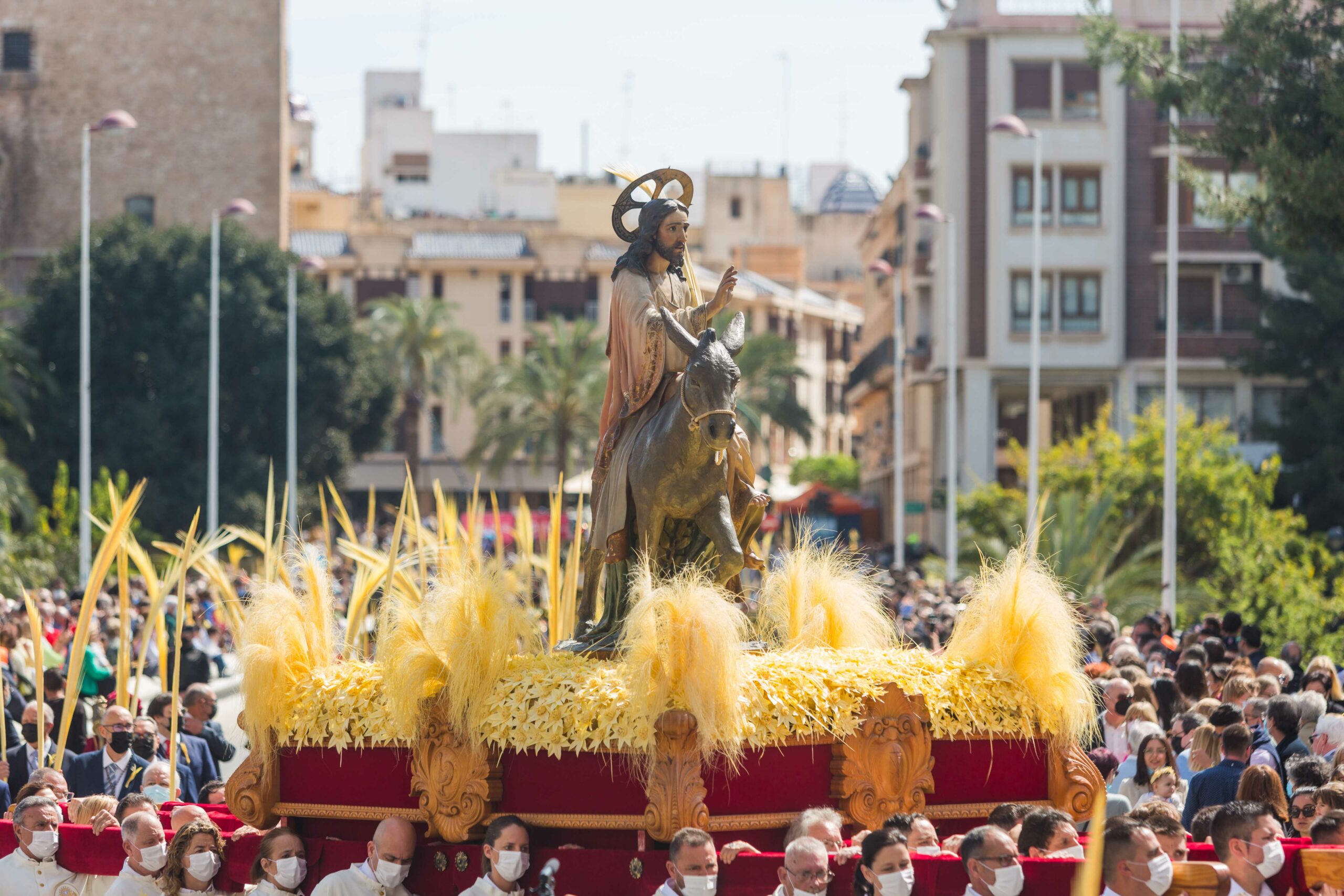 Domingo-de-Ramos-0042