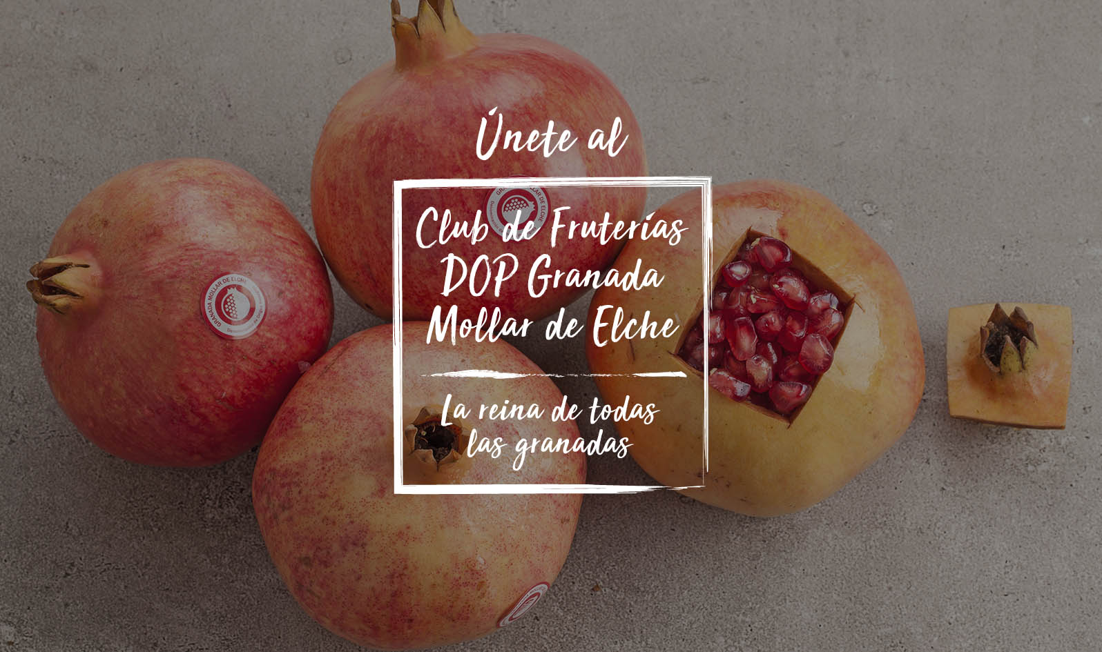 club_fruterias