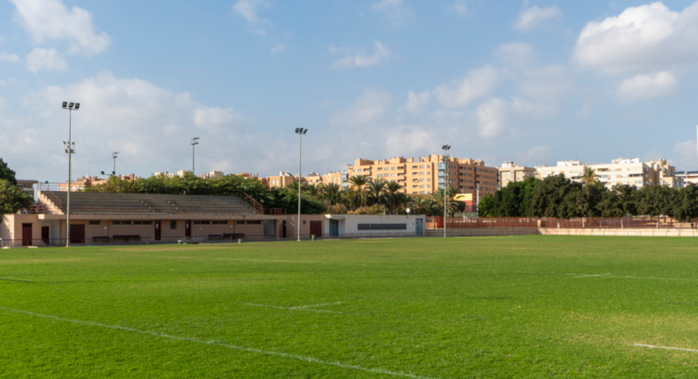 Campos de césped