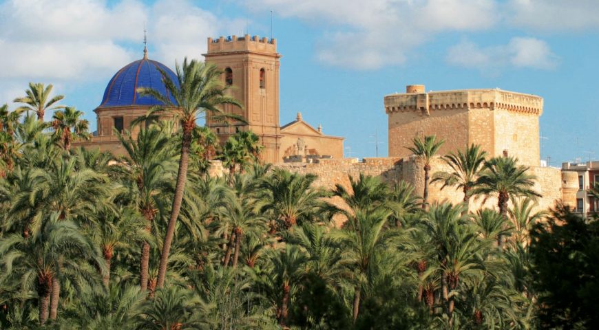 Palmeral-de-Elche-870x480