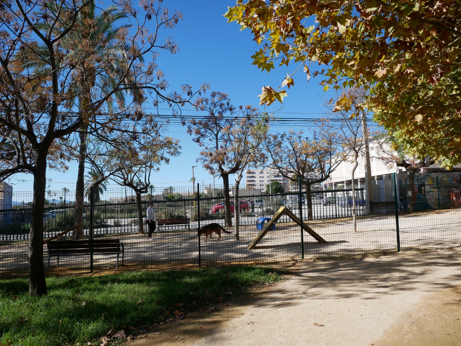 WhatsApp Image 2025-11-20 at 12.21.12 (1)