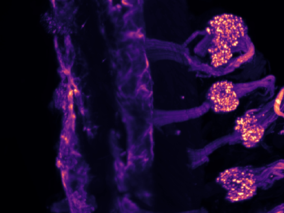 18-12-25-deteccion de frio CORREO 2