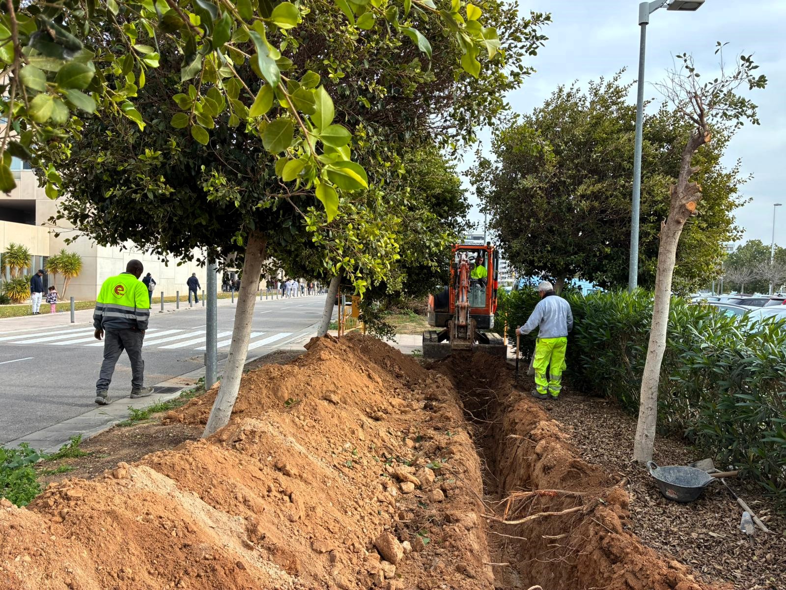 NP Placas solares (3)