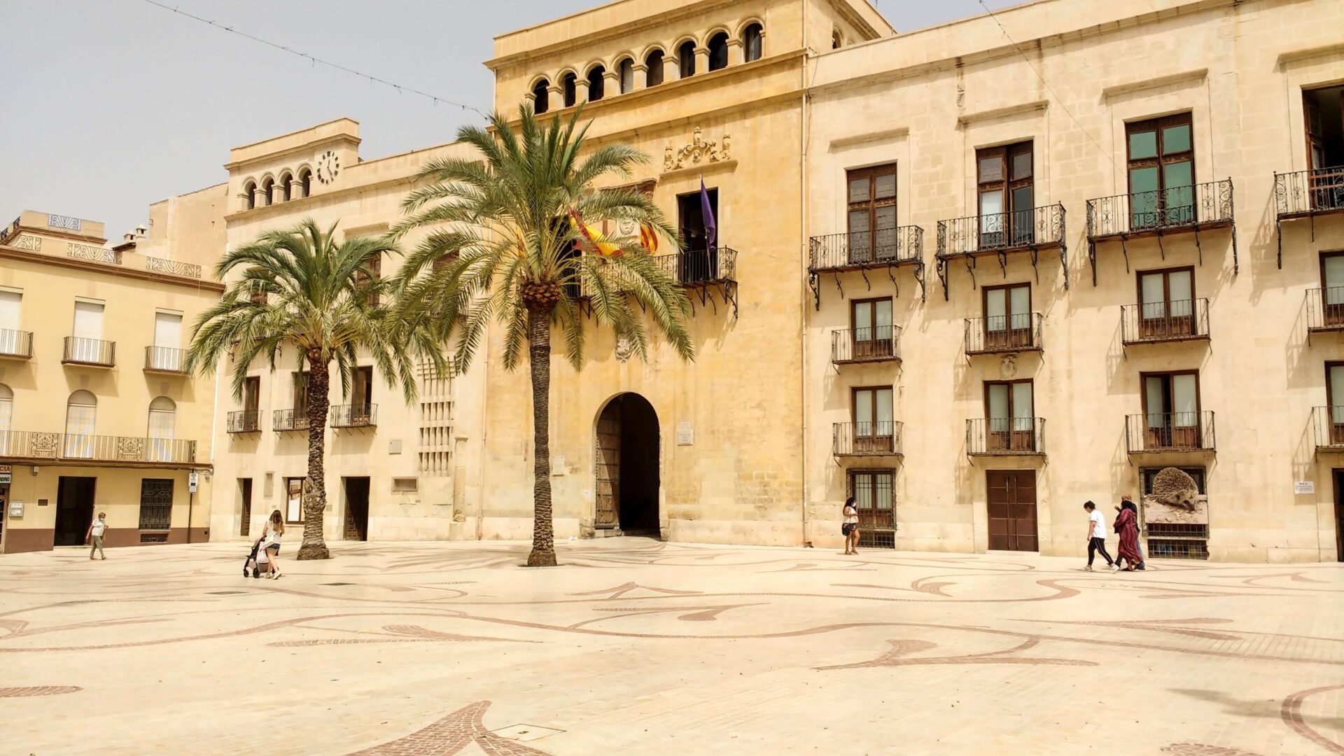 Elche-Ayuntamiento (1)