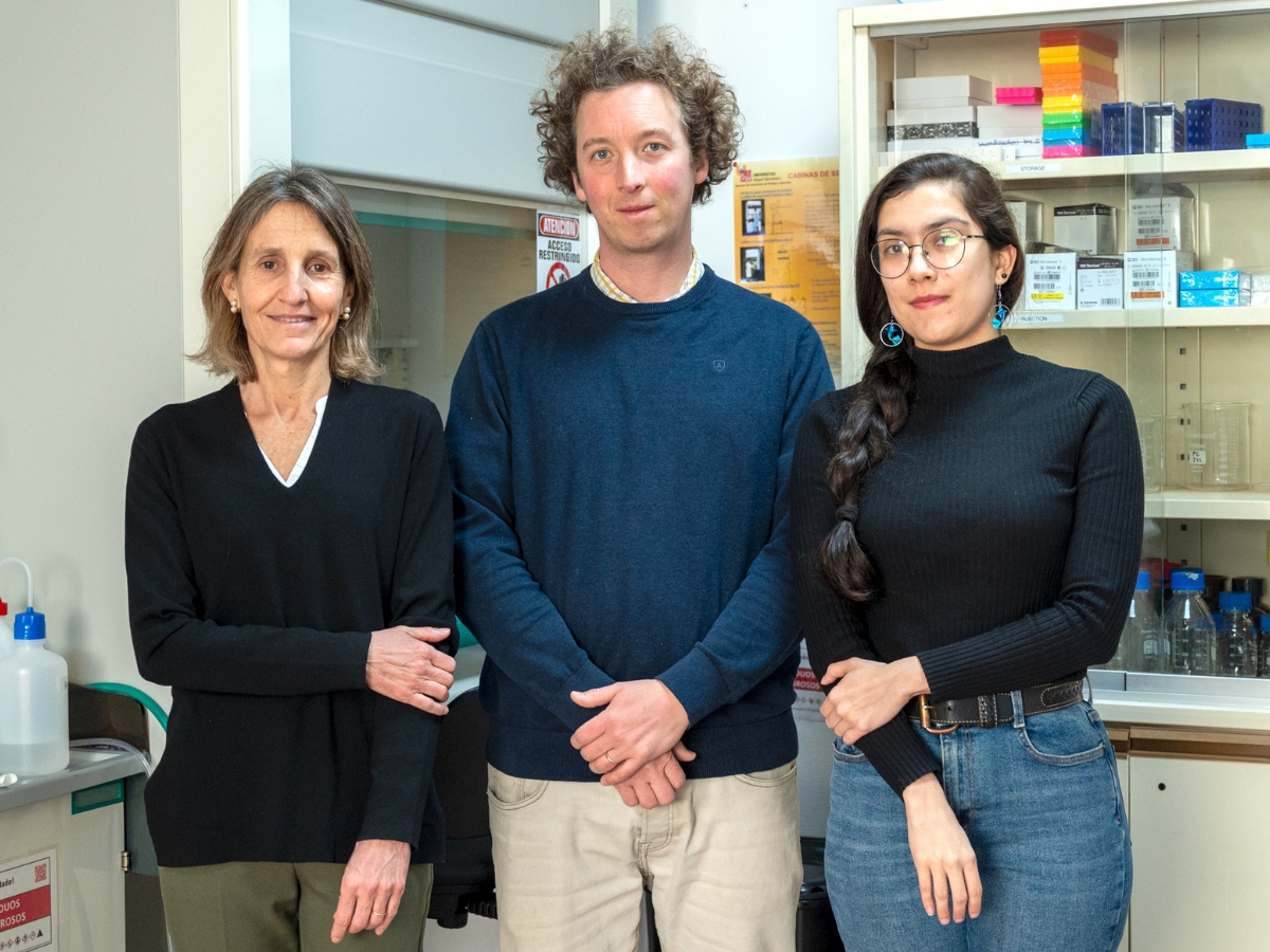 14-04-26 circuito CA1-Subículo CORREO