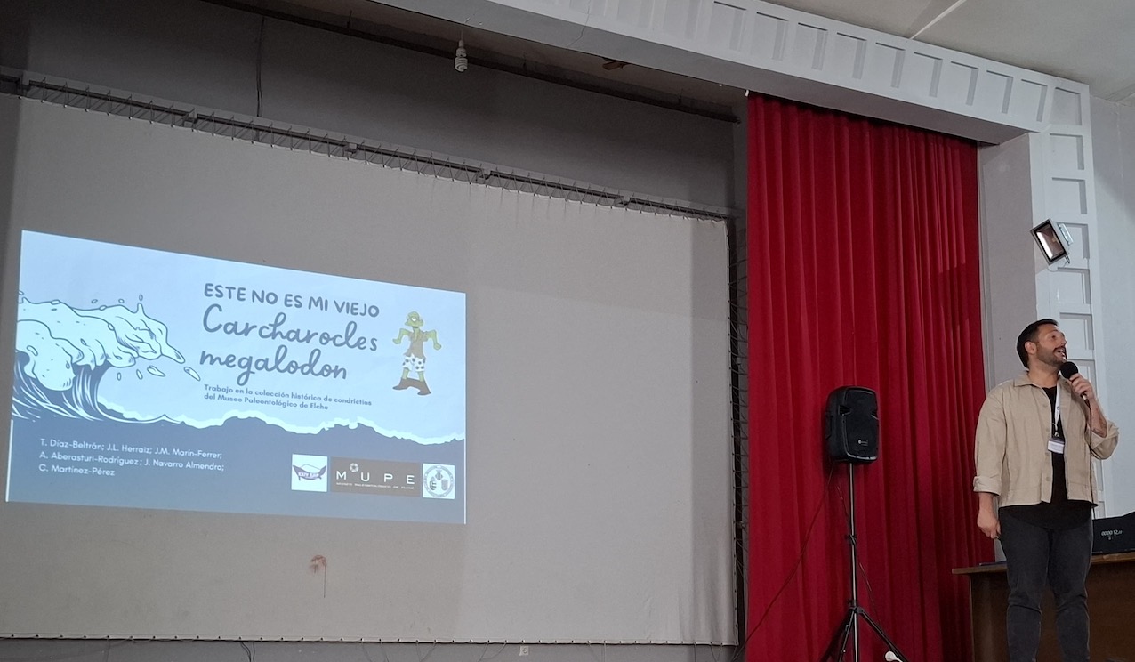 ParticipacionEJIP_mupe