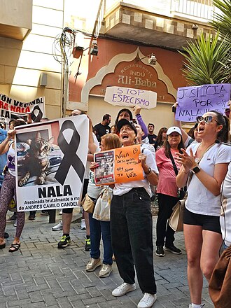 Manifestacion_por_el_caso_Nala_en_Torrevieja
