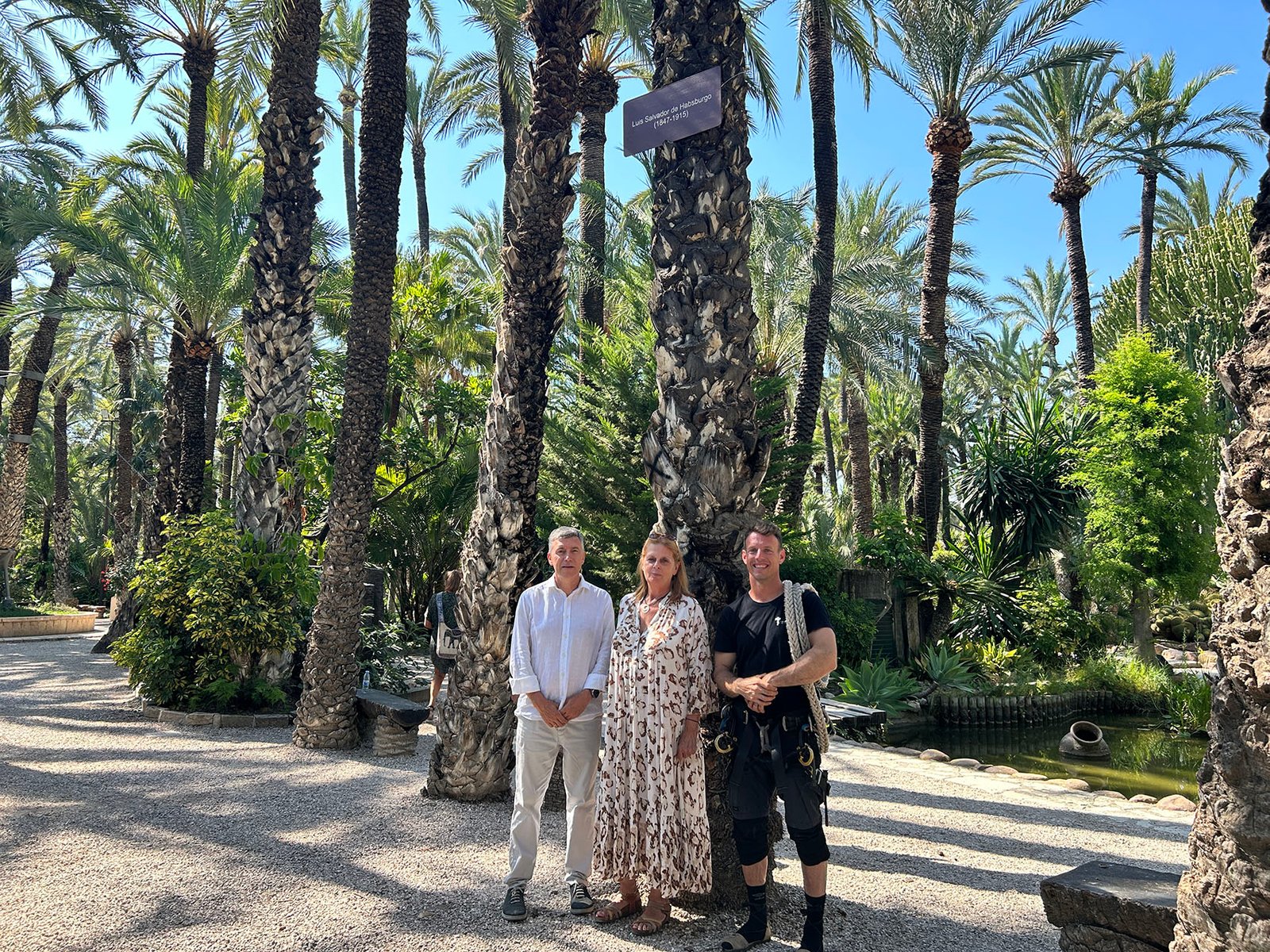 HdC_palmera_archiduque_helga_00001