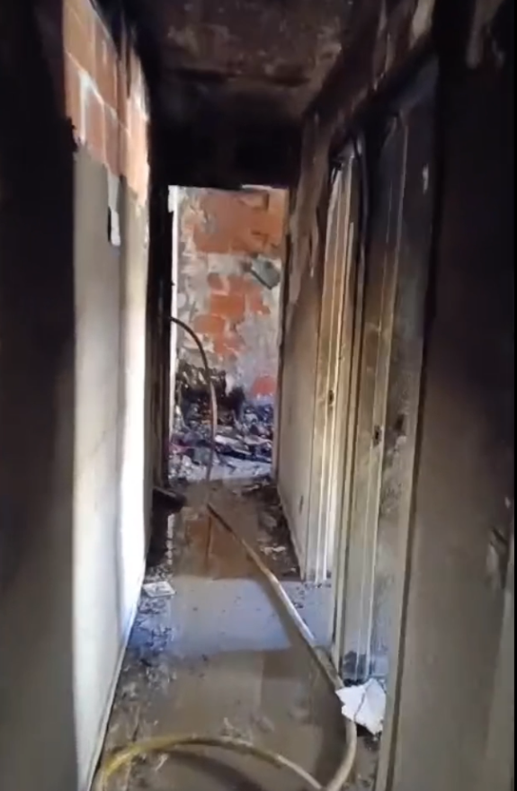 incendio palmerales