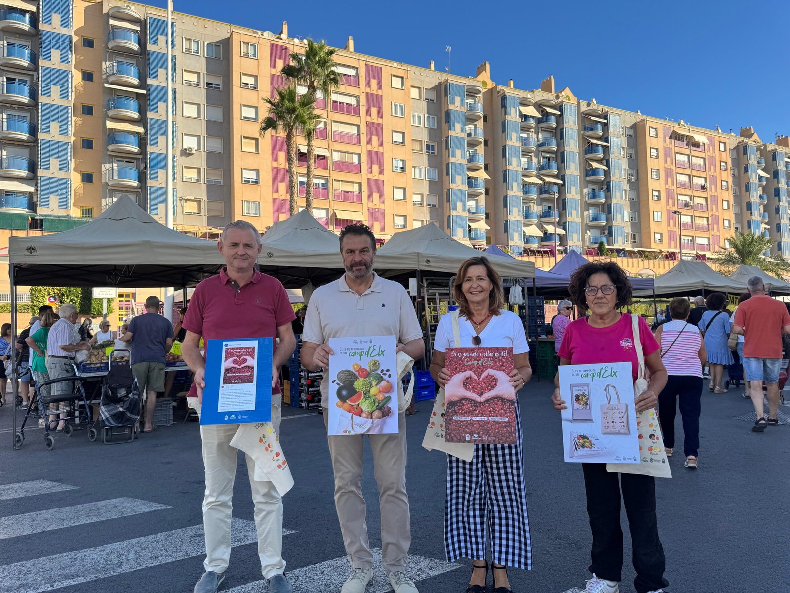camp campaña