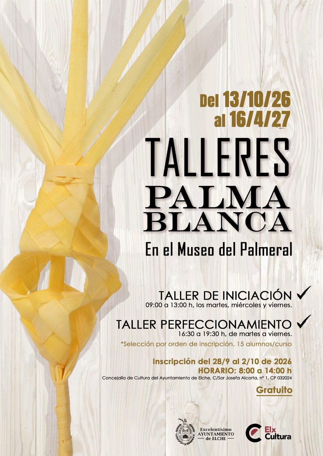 talleres palma blanca
